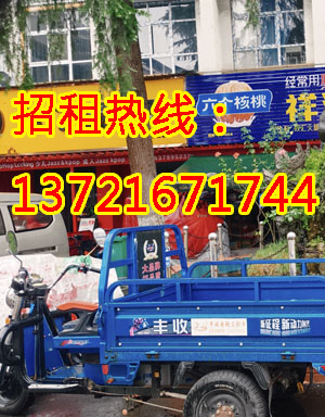 214村道1